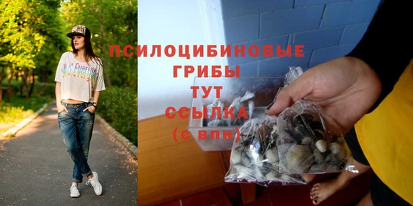 прущие грибы Алексин