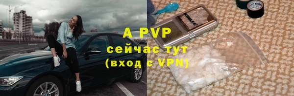 винт Алзамай